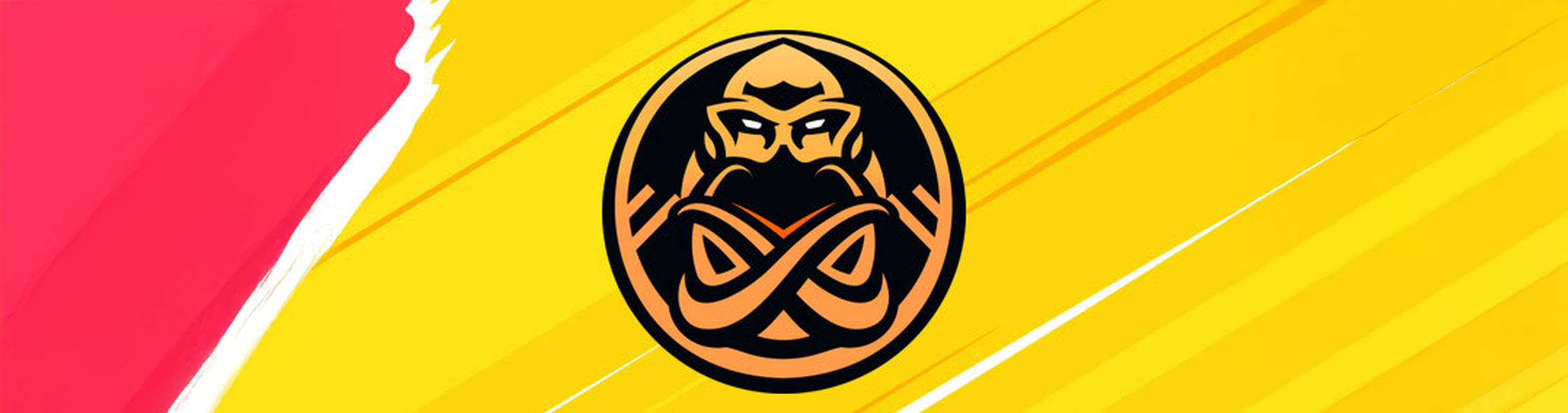 ENCE file for bankruptcy after 13 years: farewell to the team that took Finland to a Major final